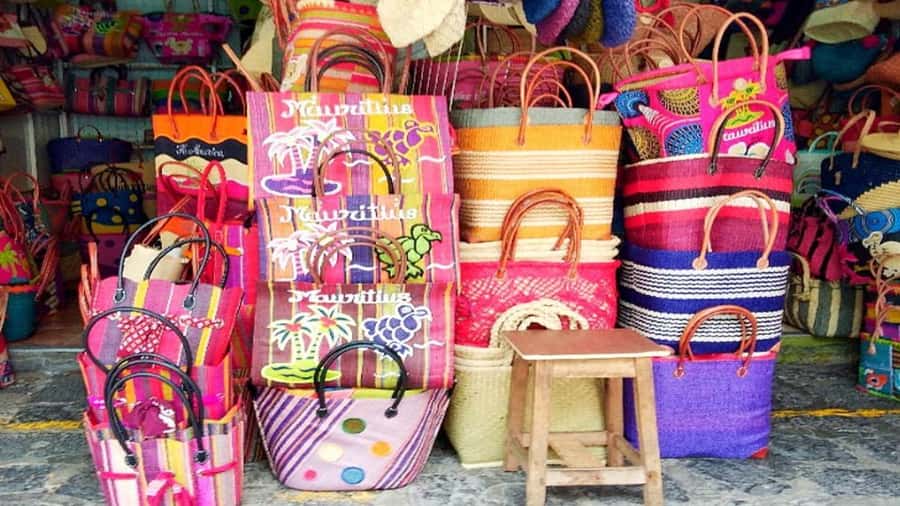 Port Louis Market, Botanical Garden -Northern Mauritius Tour - Who should book this northern Mauritius tour?