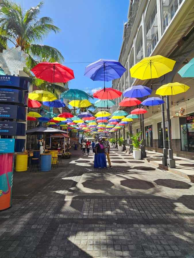 Port Louis: Mont Choisy, Botanical Garden, and Church Tour - Port Louis: market food, waterfront, and Fort Adelaide