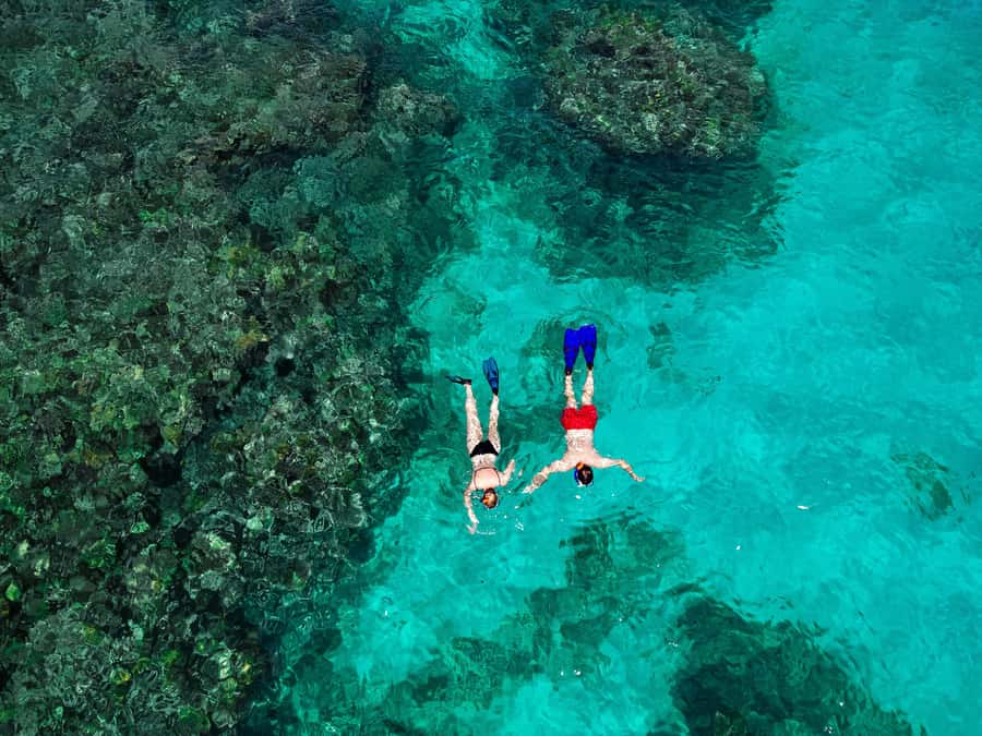 Praslin: Curieuse & St. Pierre Full-Day Boat Trip with Lunch - Key things to know before you book