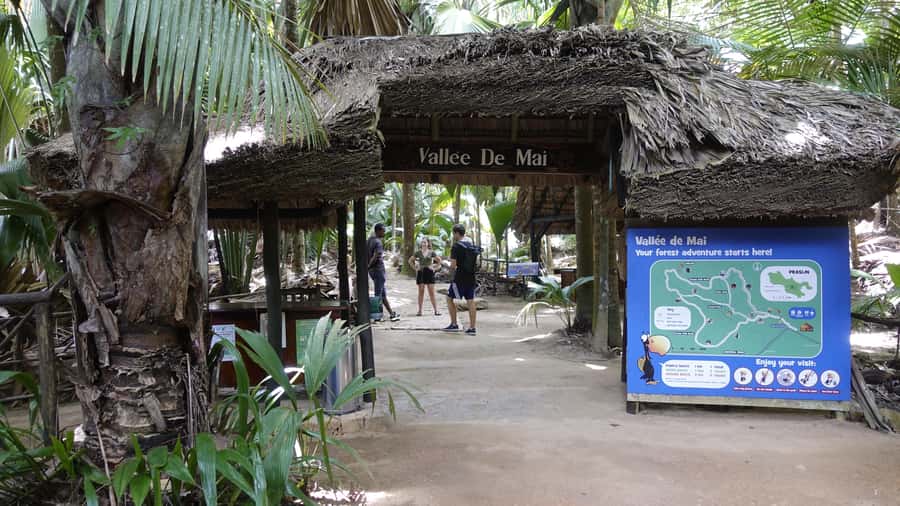 Praslin: Vallée de Mai and Anse Lazio Beach Full-day Tour - Why Vallée de Mai is the heart of the day