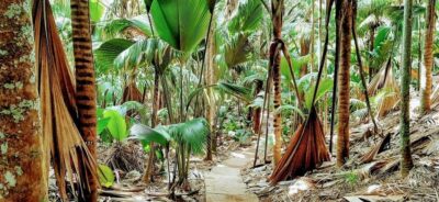 Praslin: Vallée de Mai and Anse Lazio Beach Full-day Tour