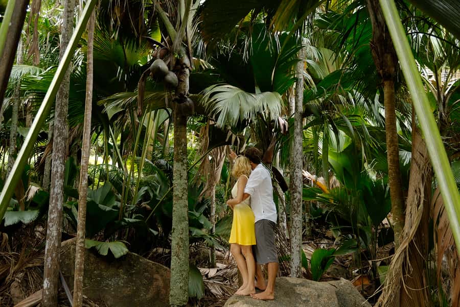 Praslin: Vallée de Mai and Anse Lazio Beach Full-day Tour - The guide can make or break the forest visit