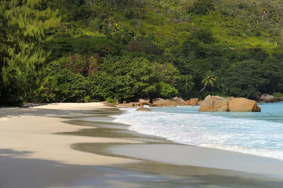 Praslin: Vallée de Mai and Anse Lazio Beach Full-day Tour - Should you book it?