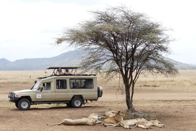 Private 6-Day Tarangire Manyara Crater and Serengeti with Mid-Range Lodges - Four great parks packed into six days
