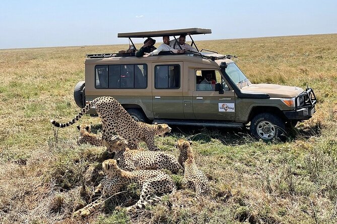 Private 6-Day Tarangire Manyara Crater and Serengeti with Mid-Range Lodges - Day six at Lake Manyara: forest, birds, and a final game drive