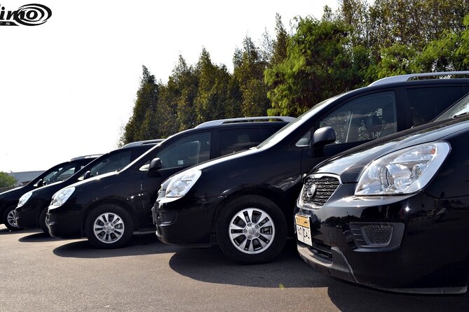Private Airport Transfer: Cairo Airport Transfer to anywhere in Cairo - Meeting your driver after arrival