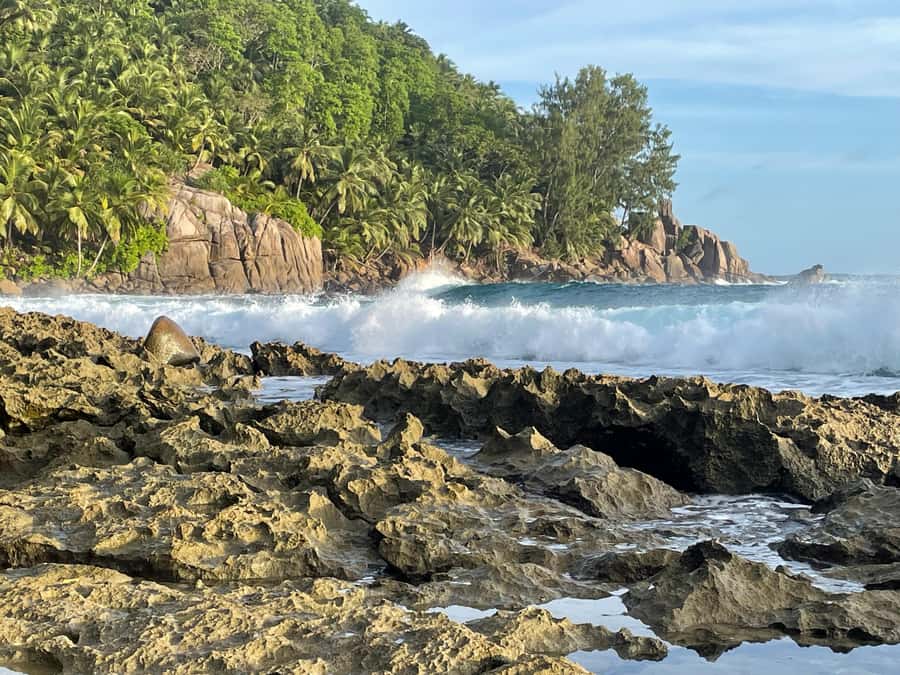 Private Customized Tour: Explore Mahe beyond the ordinary - A guide who shapes the day
