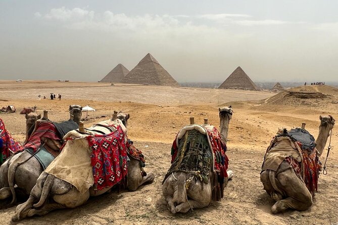 Private Day Pyramids and Grand Egyptian Museum with free camel - Moving to the Grand Egyptian Museum