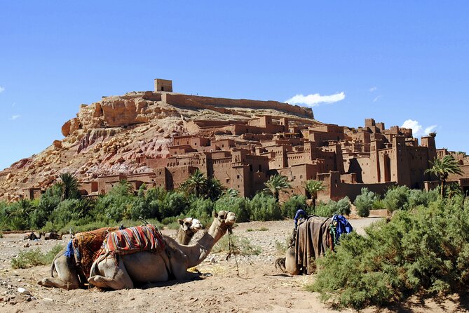 Private Day tour From Marrakech to Ouarzazate and Ait Ben Haddou - Ouarzazate, Morocco’s movie town