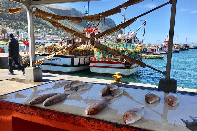 Private Day Tour to Cape Point , Penguins, Wine or Beer Tasting - The ostrich farm is the day’s playful surprise