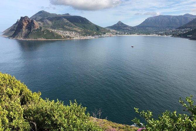 Private Day Tour to Cape Point , Penguins, Wine or Beer Tasting - Lunch in Simon’s Town, with costs kept separate