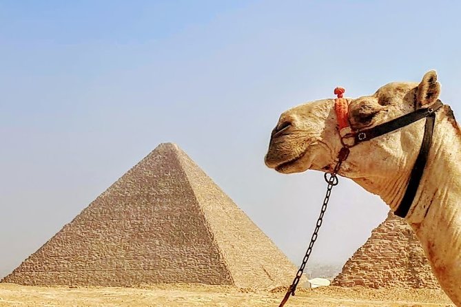 Private day trip to Cairo from Hurghada - Who should take this trip