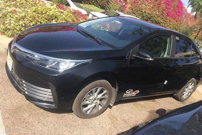 Private Departure Transfer from Cairo City to Cairo Airport - The car, luggage, and comfort