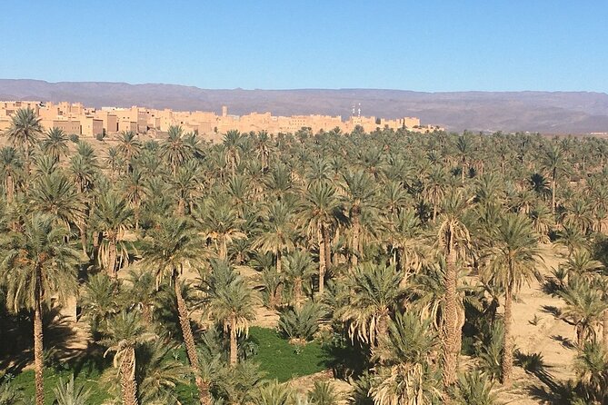 Private Excursion from Ouarzazate to Gorges Dades, Valley of Roses and Skoura - What private transport changes