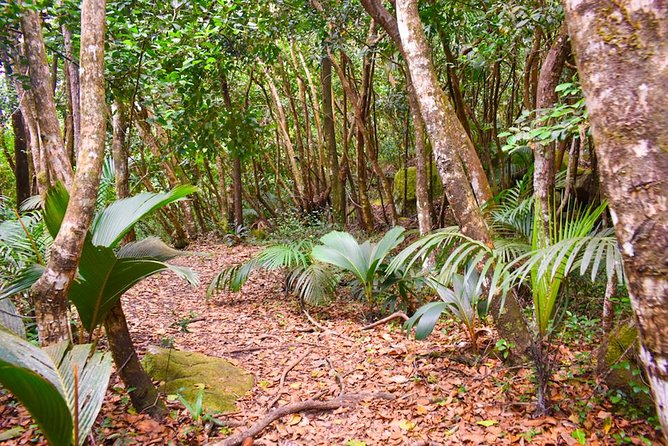 Private Full day Mahé island tour (1-2 persons) - Lunch is flexible, but bring room in the budget
