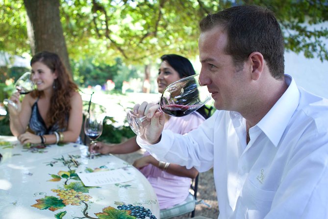 Private Full Day Stellenbosch Wine Tour with Pick Up and Drop Off - Tokara: a scenic lunch stop at your own cost