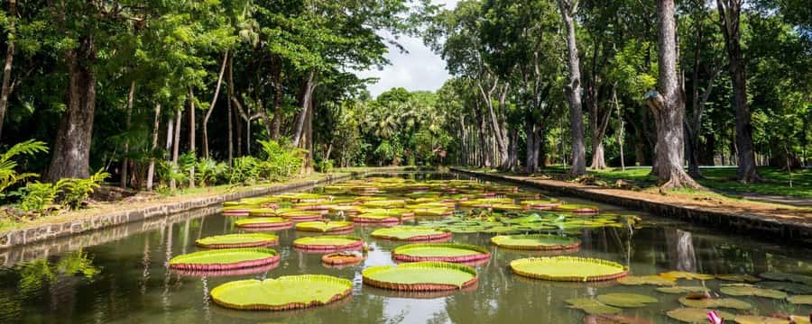 Private Full Day Tour of Port Louis and Northern - Why this Port Louis and northern tour works