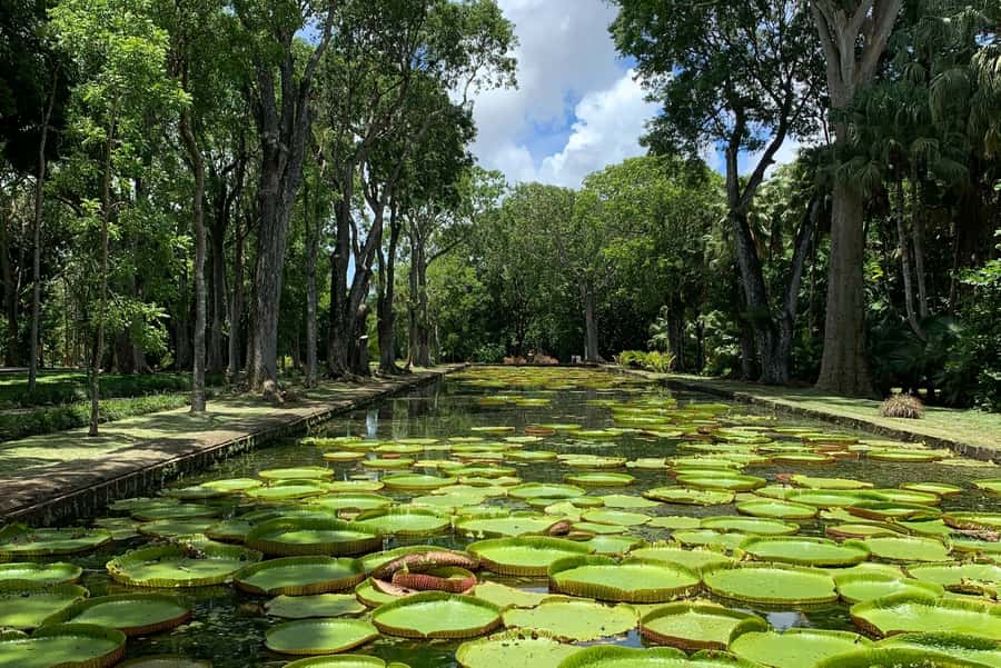 Private Full Day Tour of Port Louis and Northern - Who should book this day
