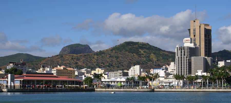 Private Full Day Tour of Port Louis and Northern - Pamplemousses Garden and the Talipot palm