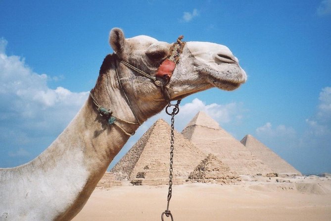 Private Tour: Giza Pyramids, Sphinx, Memphis, Sakkara - What the $165.30 price really buys