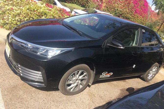 Private Transfer from Cairo Airport - Delays, lost bags, and late-night arrivals