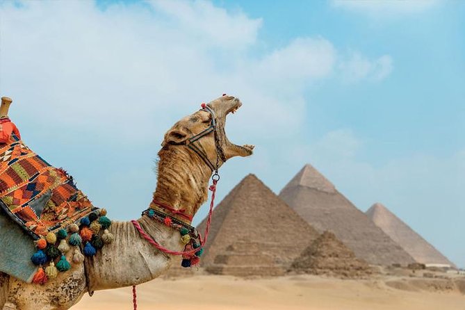 Private ViP all-inclusive Giza Pyramids,Sphinx,Inside Pyramid - Khafre’s Pyramid and the Great Sphinx