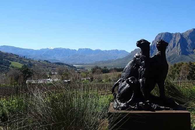 Private Wine Tour with Wine Expert to Stellenbosch-Franschhoek Wine Regions - Four wineries, one private route through the Cape Winelands