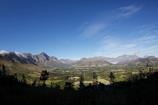 Private Wine Tour with Wine Expert to Stellenbosch-Franschhoek Wine Regions - Lunch is separate, so plan for it