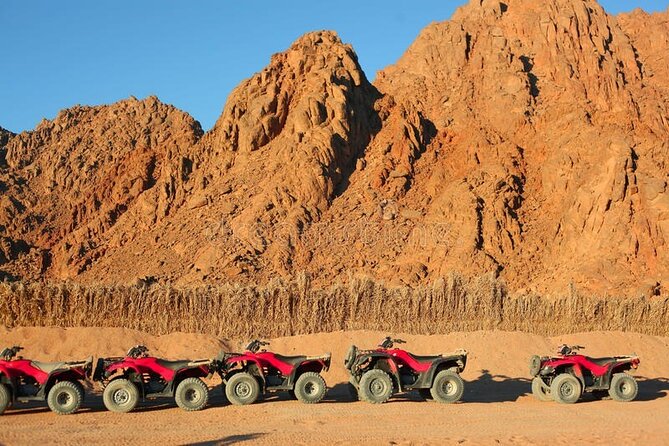 Quad with Camel Ride & Bedouin village From Marsa Alam - Pickup from Marsa Alam hotels