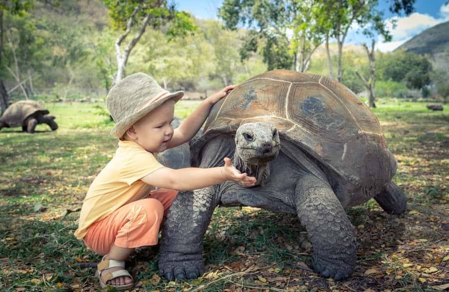 Riambel: South Tour w/ Crocodile Park & Seven Colored Earth - Key points to know before you book