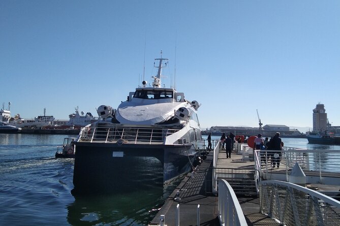 Robben Island Tour including Pick Up & Drop Off from Cape Town - The island bus covers difficult ground