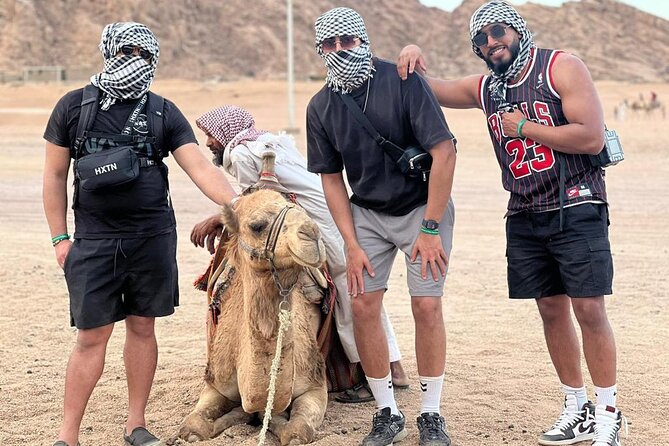 Safari 5 in 1 Quads, Camels, Show, Dinner & Star Gazing in Sharm El Sheikh - Quad biking on marked desert tracks