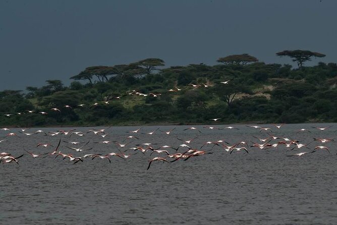 Safari Serengeti And Ngorongoro - The guides can make or break the experience