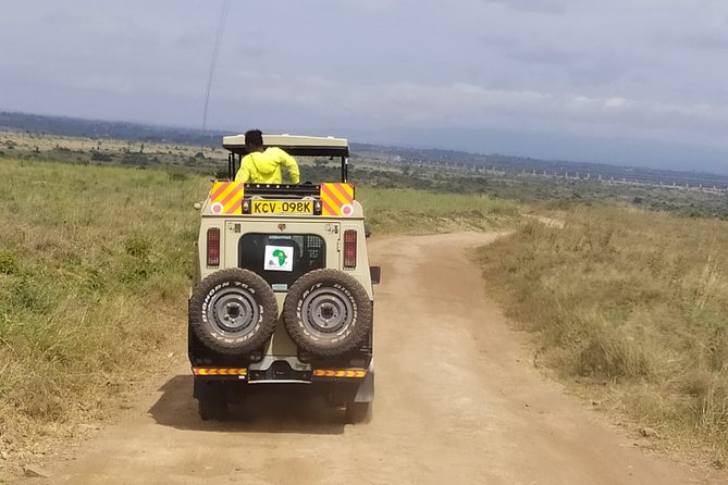 Safari Tour; Nairobi National Park - The biggest value question: $43.50 plus park admission