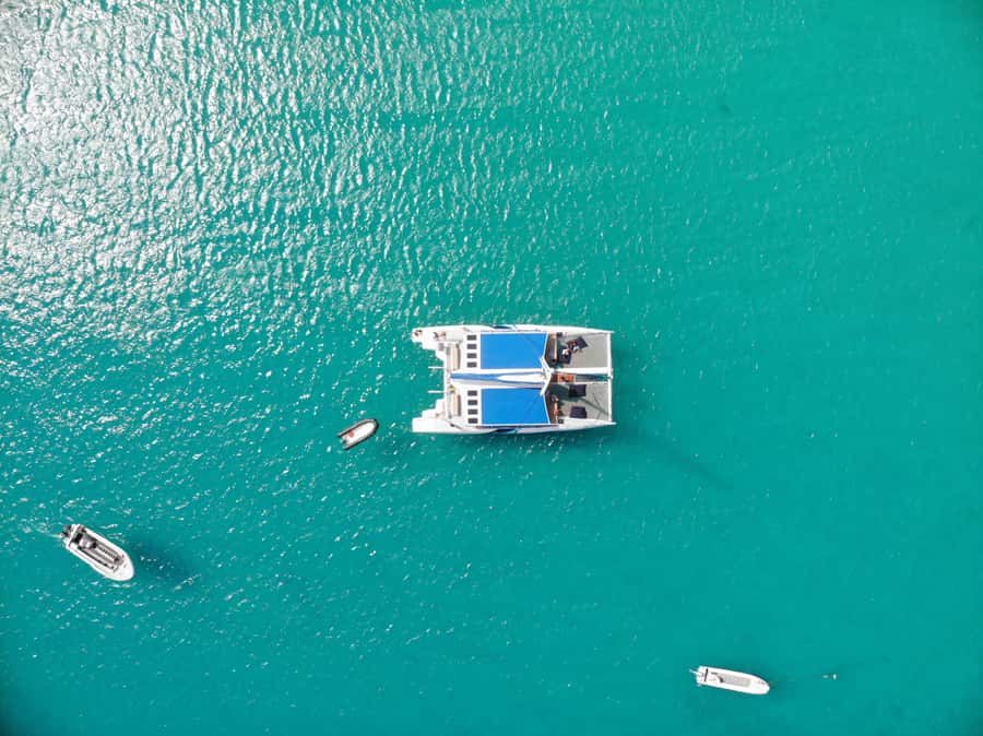 Sal: All-Inclusive Half-Day Lounge Catamaran Cruise - Swimming near Lion Mountain