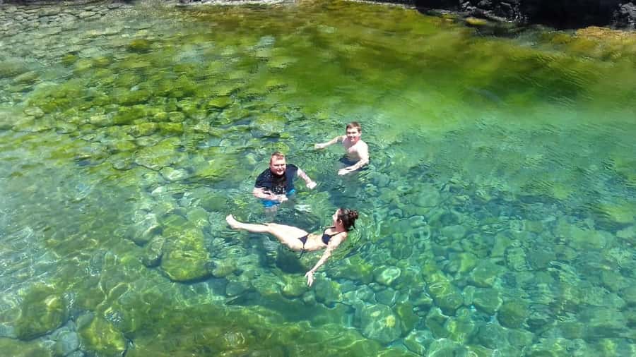 Sal: All-Inclusive Salt Lake, Blue Eye and Shark Bay Tour - Meeting lemon sharks at Shark Bay