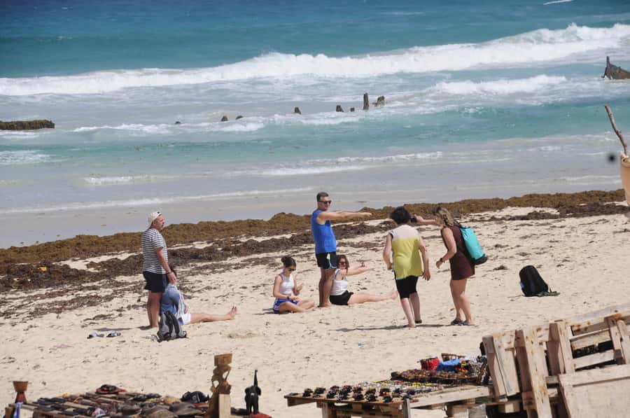 Sal Rei: Boa Vista Island Full-Day North to South Discovery - Why this full-day Boa Vista route works