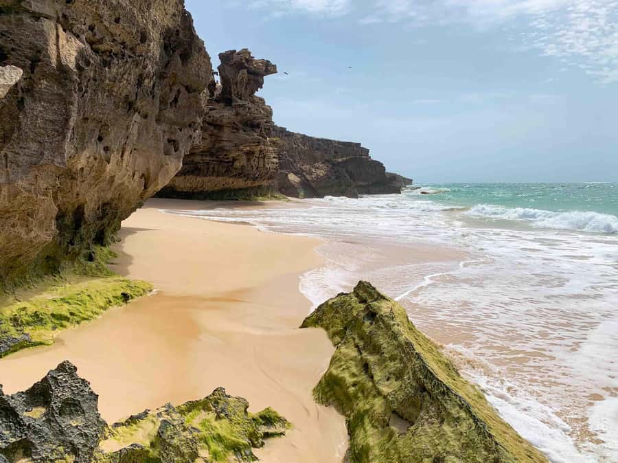 Sal Rei: Boa Vista Island Full-Day North to South Discovery - Santa Monica: the main beach break