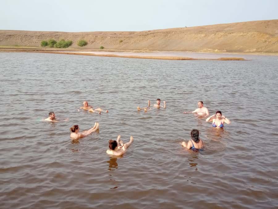 Sal: Salt Lake Tour, Shark Bay and Pedra de Lume Village - Why Shark Bay is the right place to start