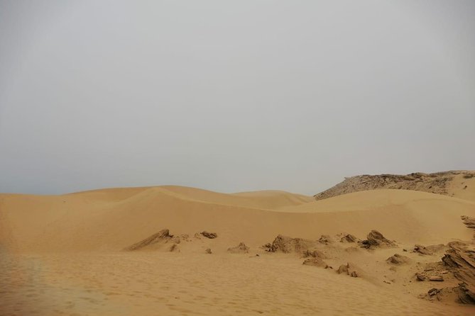 Sandboarding guided experience from Agadir - Why the Atlantic dunes make this more than a board rental