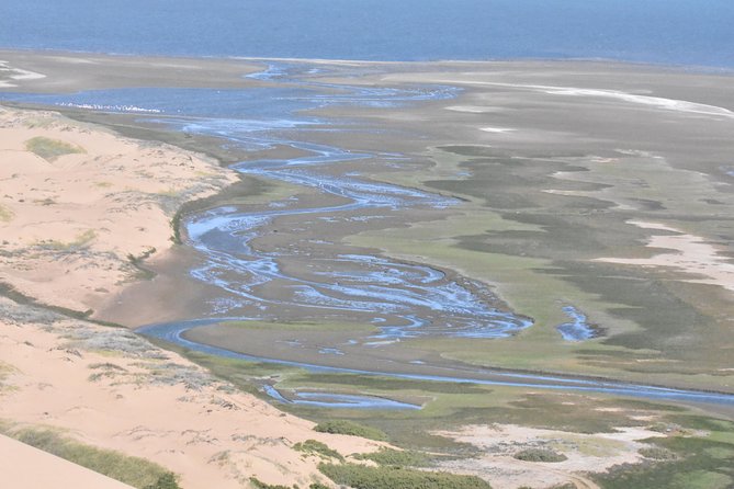 Sandwich Harbour Adventure: Seals and Sandwich harbour dune drive - Lunch among the dunes and practical comfort