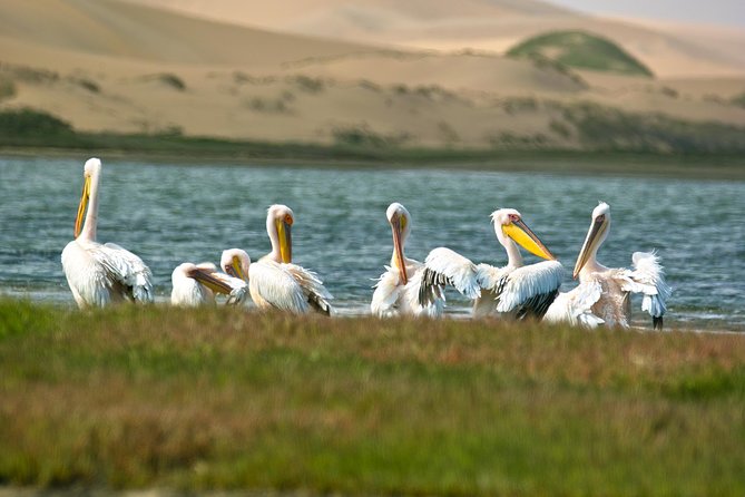 Sandwich Harbour Half-Day 4x4 Tour (5 hours) from Walvis Bay - The 4x4 run toward Sandwich Harbour