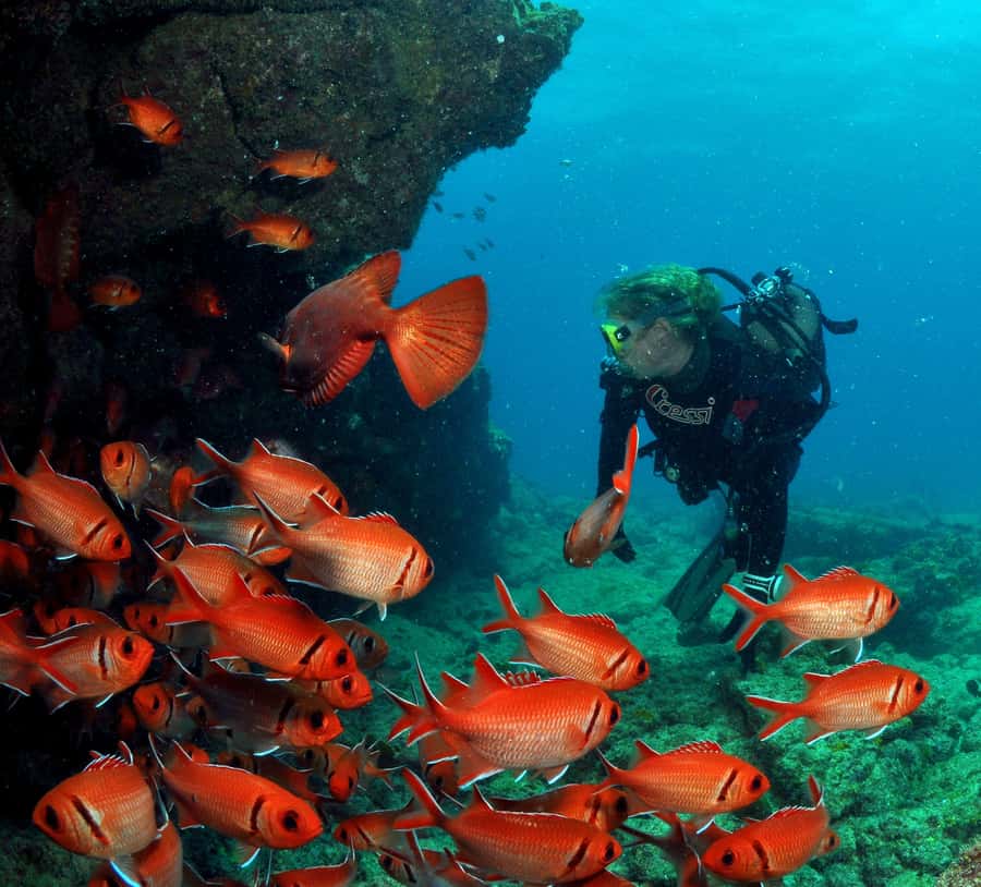 Santa Maria: Discover Scuba Diving - A gentle first step into Cape Verde scuba