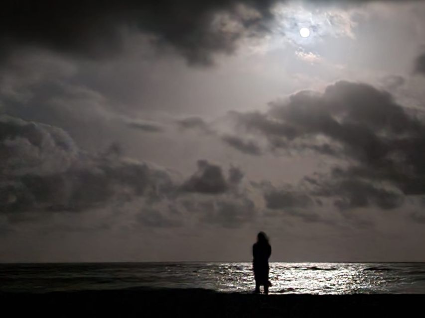 Santa Maria: Sea Turtle Watching Experience on Sal Island - The guides make the difference