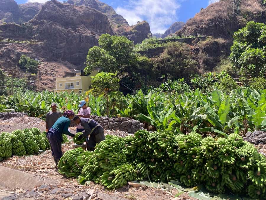 Santo Antão Highlights: Day Trip by Car with Ferry from SV - Key points to know before you book