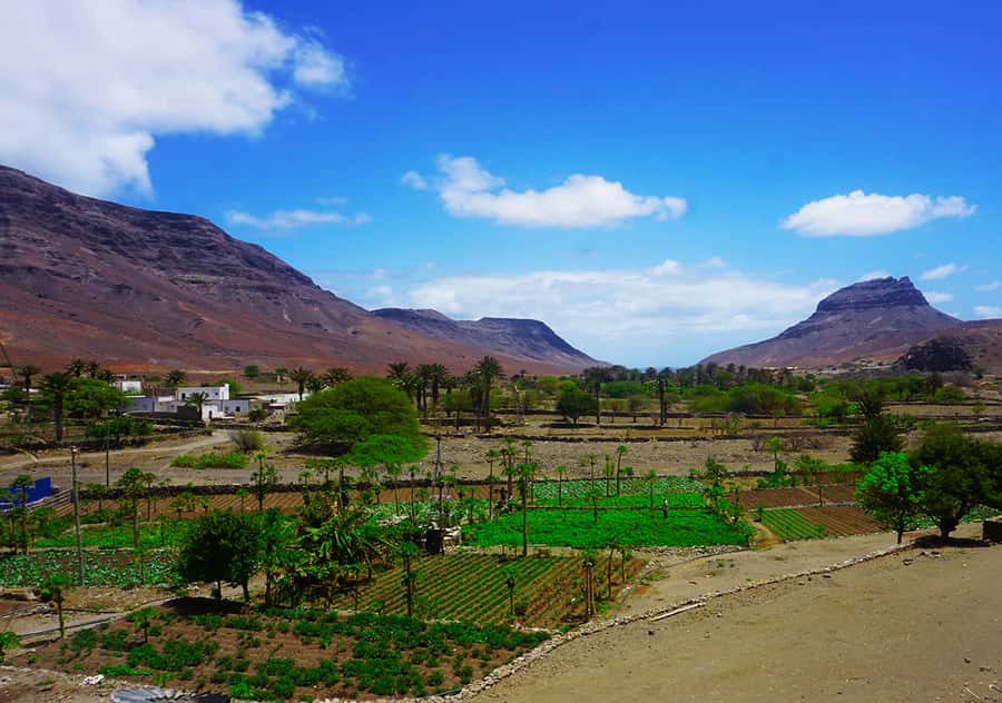 São Vicente Island: Full-Day Tour - Monte Verde provides the day’s grandest view