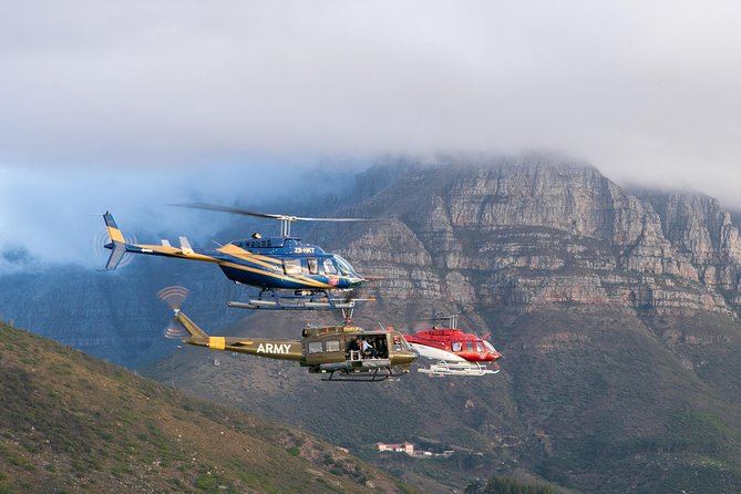 Scenic Cape Point Helicopter Tour from Cape Town - Pilot commentary turns a view into an orientation