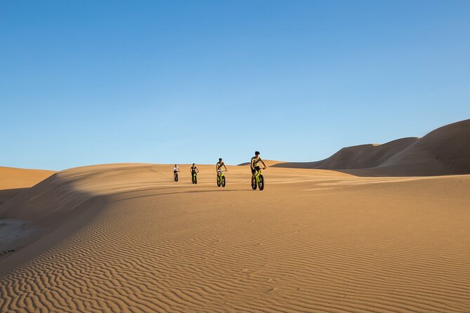 Scenic Desert Tour by Bike - The first dune sets the pace