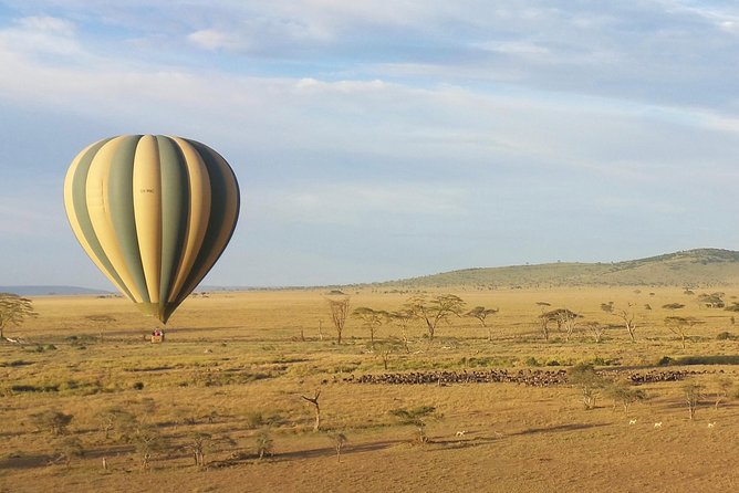 Serengeti Balloon Safari and authentic bush breakfast - Sunrise above the Serengeti