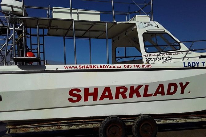Shark Cage Diving - What the shark encounter is really like